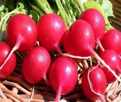 Редис Дуро Краснодарское 0,5 г